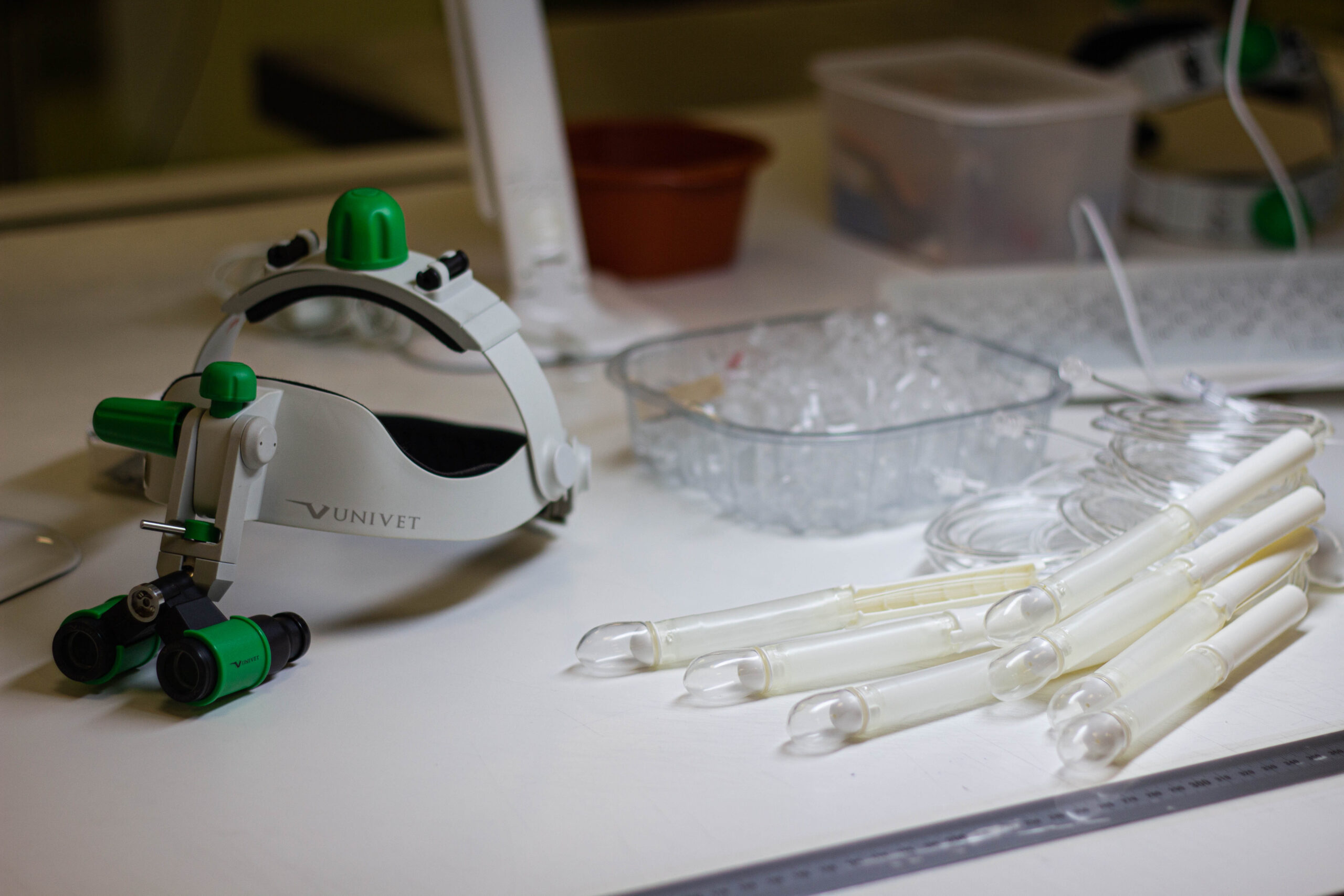 Materiali e Tipologie di Balloon